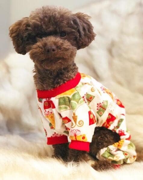 CuteBone Small Dogs Christmas Outfit Soft Puppy Onesies Pjs Dog Pajamas Pet Coat Cat Apparel Comfy Doggie Jumpsuit Bodysuit for All Seasons P17M