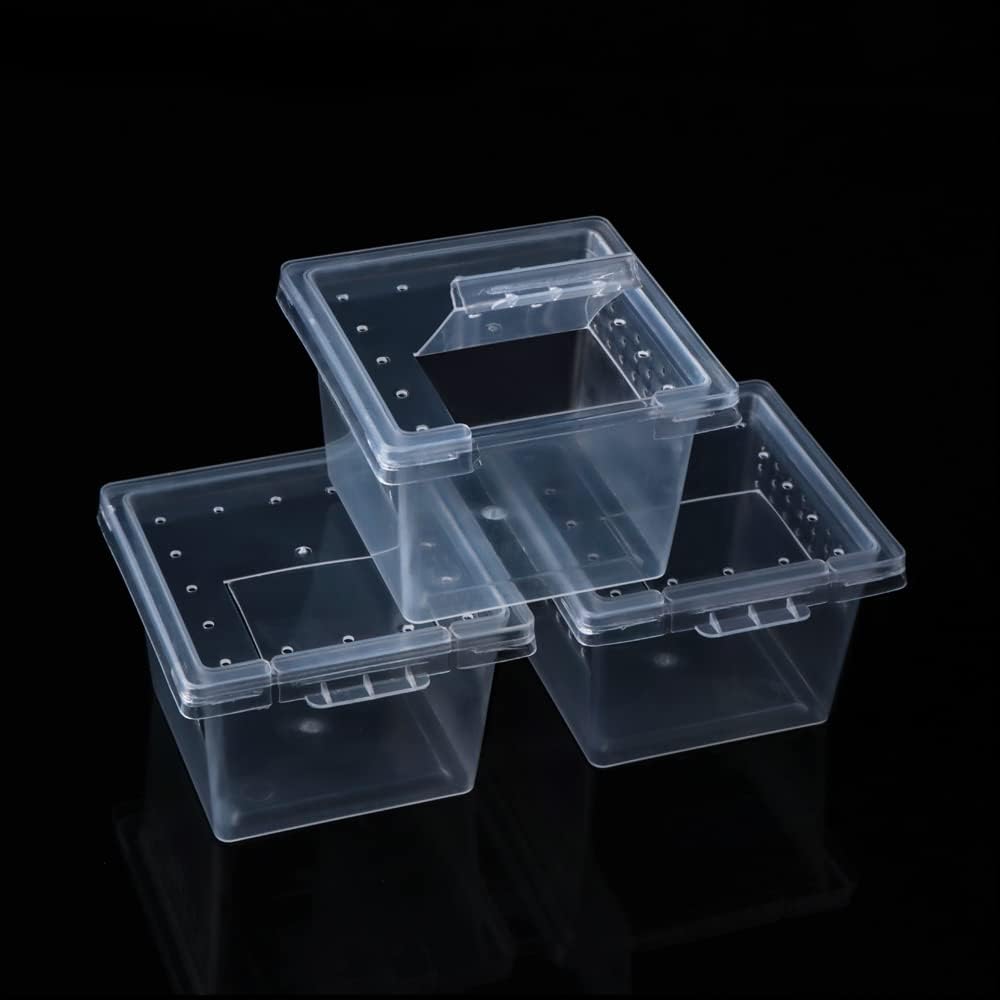 20 Pcs Spider Terrariums Breeding Box Hatching Container Acrylic Feeding Box for Small Reptile Scorpion Centipede Insect (Small Size)