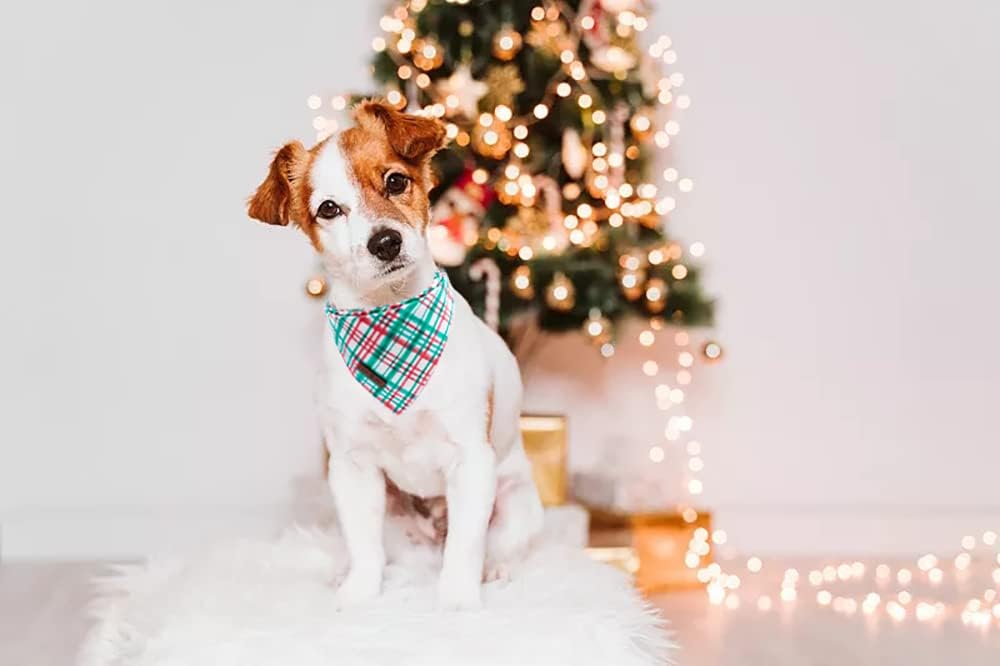 Lionet Paws Christmas Dog Bandana,Fabric Dogs Kerchief for Medium Large Dogs,Dog Cotton Triangle Bibs Scarf for Girl Boy