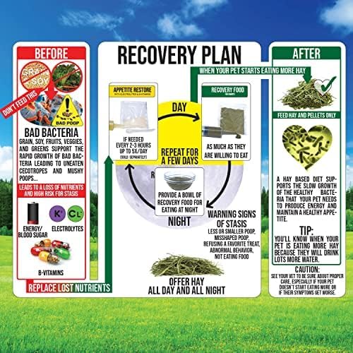 Sherwood Pet Health Rabbit Emergency kit and Bulk Recovery Food (Large kit)