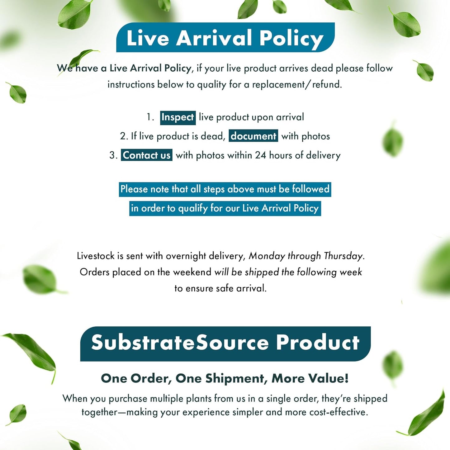 SubstrateSource Live Aquarium Stem Plants - Freshwater Aquatic Plant for Fish Tanks, Aquascaping - (Limnophila Aromatica, 4 Bunches)