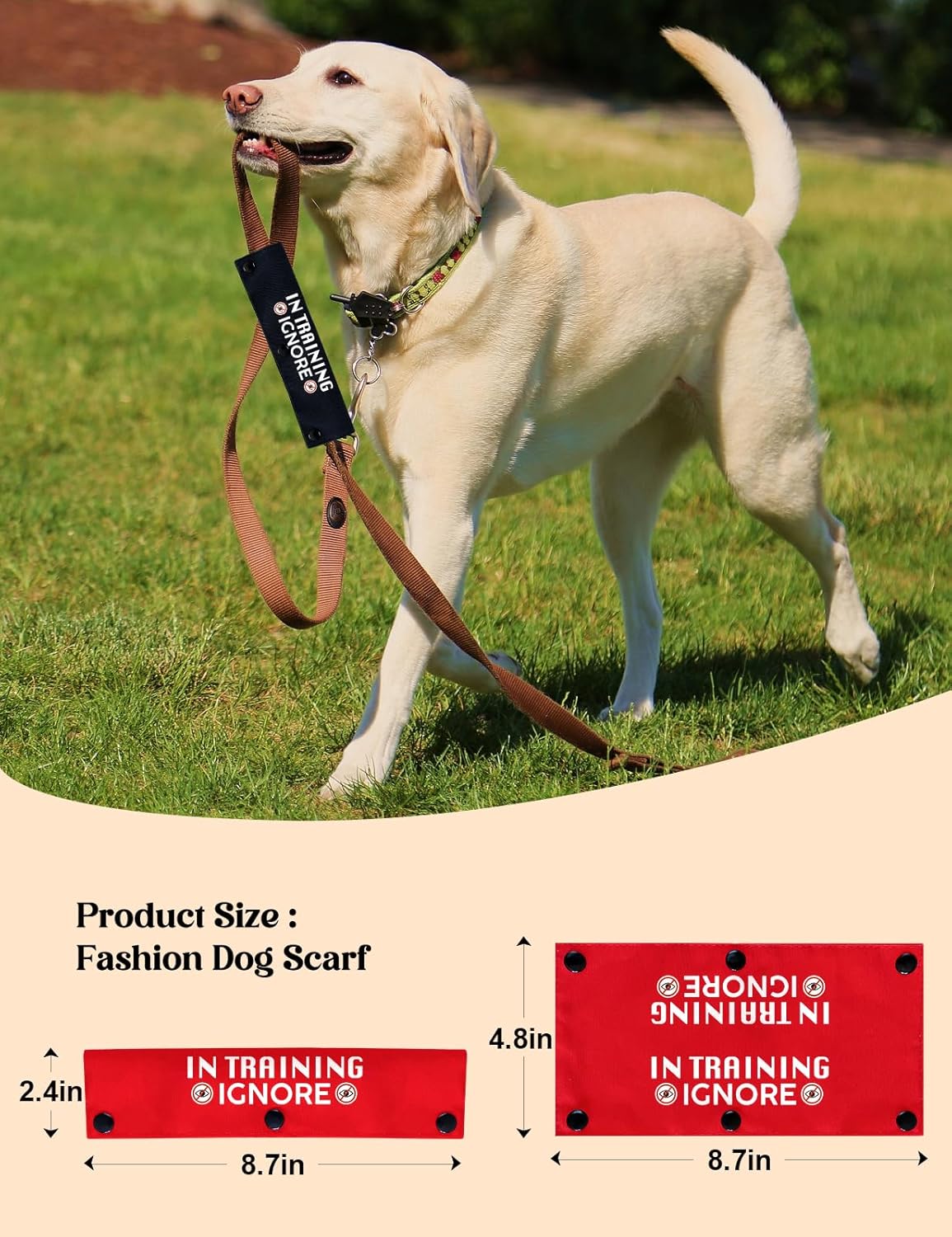 in Training Ignore Dog Leash Sleeve, Funny Yellow Dog Leash Wrap Alert Hanging ID Patch Tag, in Training Leash Wrap Service Dog Leash Wrap Pet Birthday Gifts for Dog Owners