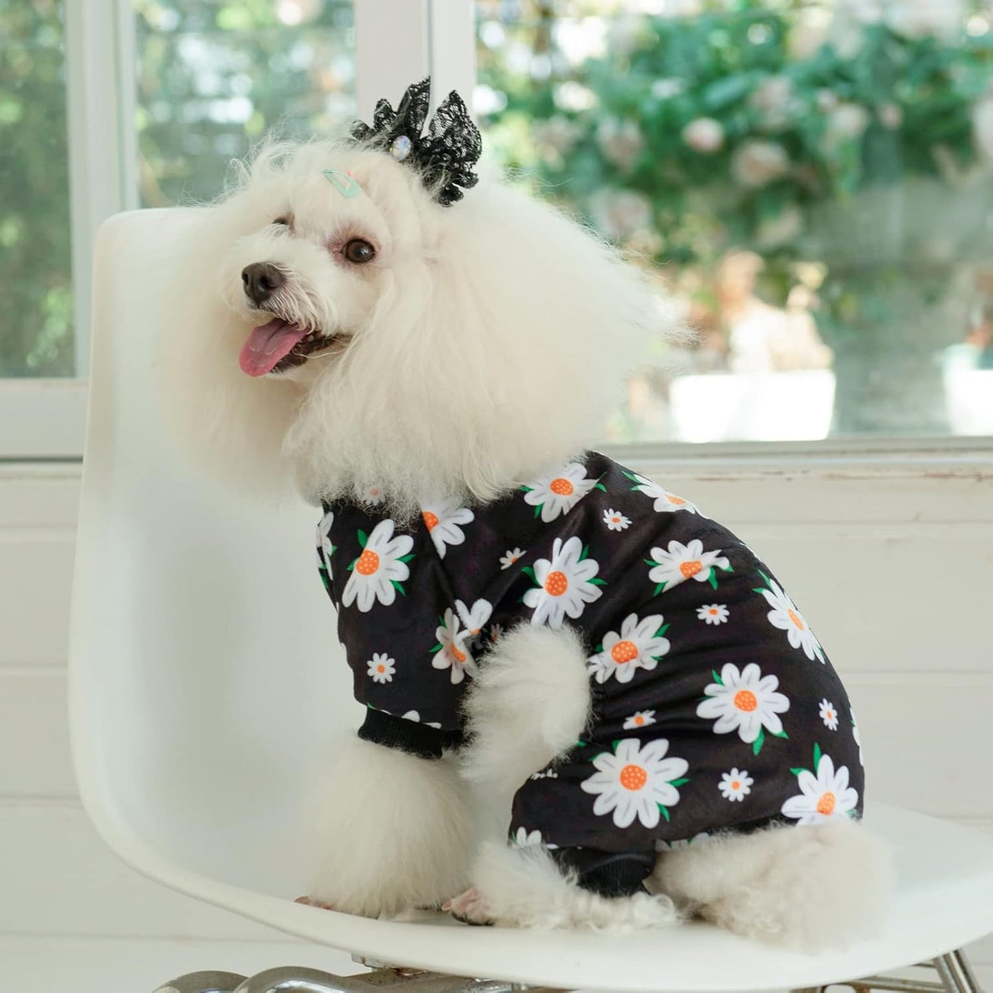 CuteBone Small Dogs Outfit Soft Puppy Onesies Pjs Dog Pajamas Pet Coat Cat Apparel Comfy Doggie Jumpsuit Bodysuit for All Seasons P221M