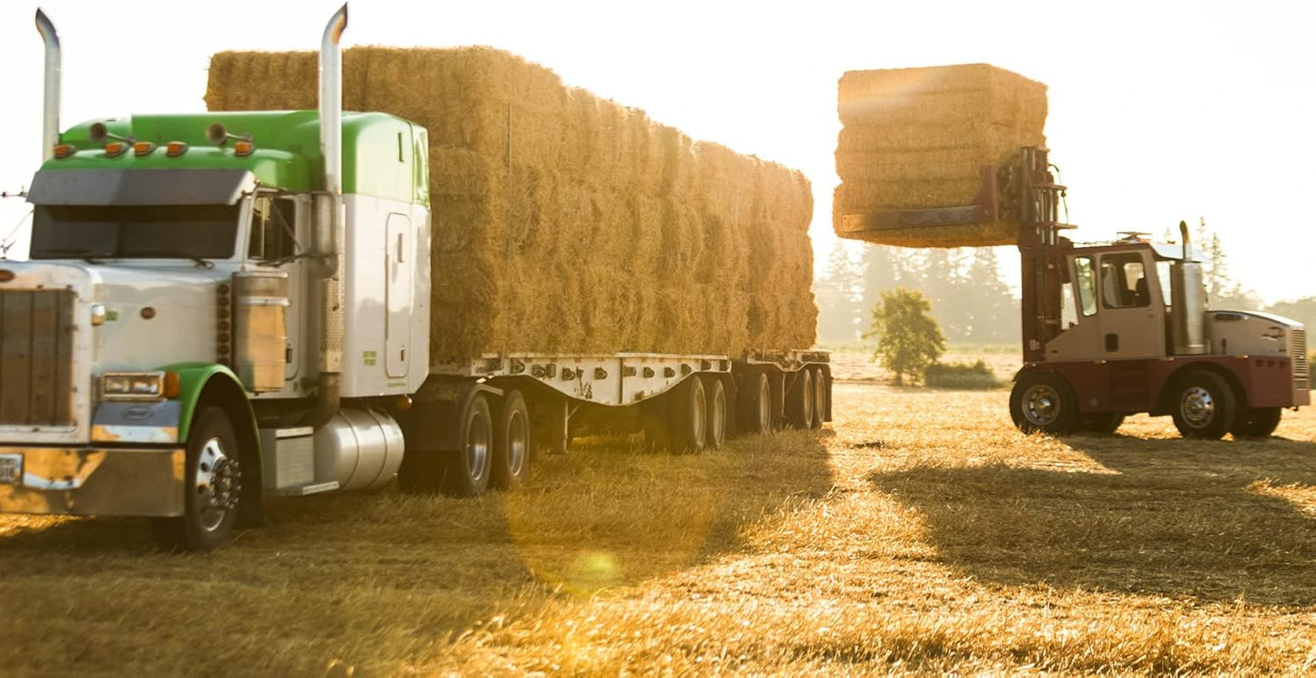 Blue Mountain Hay High-Altitude Hay - Organic Alfalfa, 25lb - High Protein, Fiber & Mineral-Rich - Soft, Leafy, High Leaf Retention - Ideal for Goats, Rabbits, Guinea Pigs & Other Small Animals