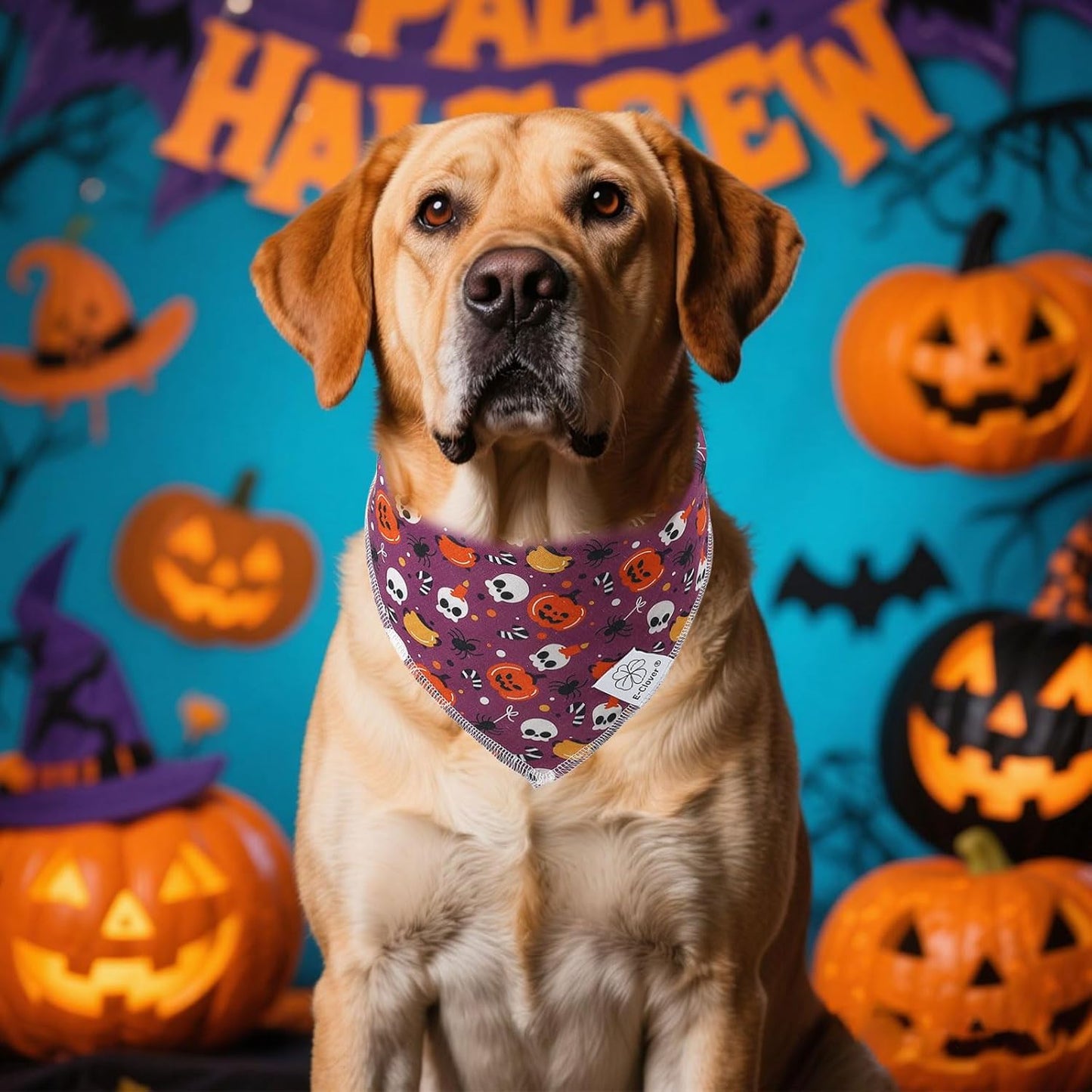 E-Clover Halloween Dog Bandanas & Matching Scrunchie Set Girl Cute Pumpkin Dog Scarf Bibs Pet Bandana with Bow Tie for Small Dogs Puppy Owner Mom Purple Orange