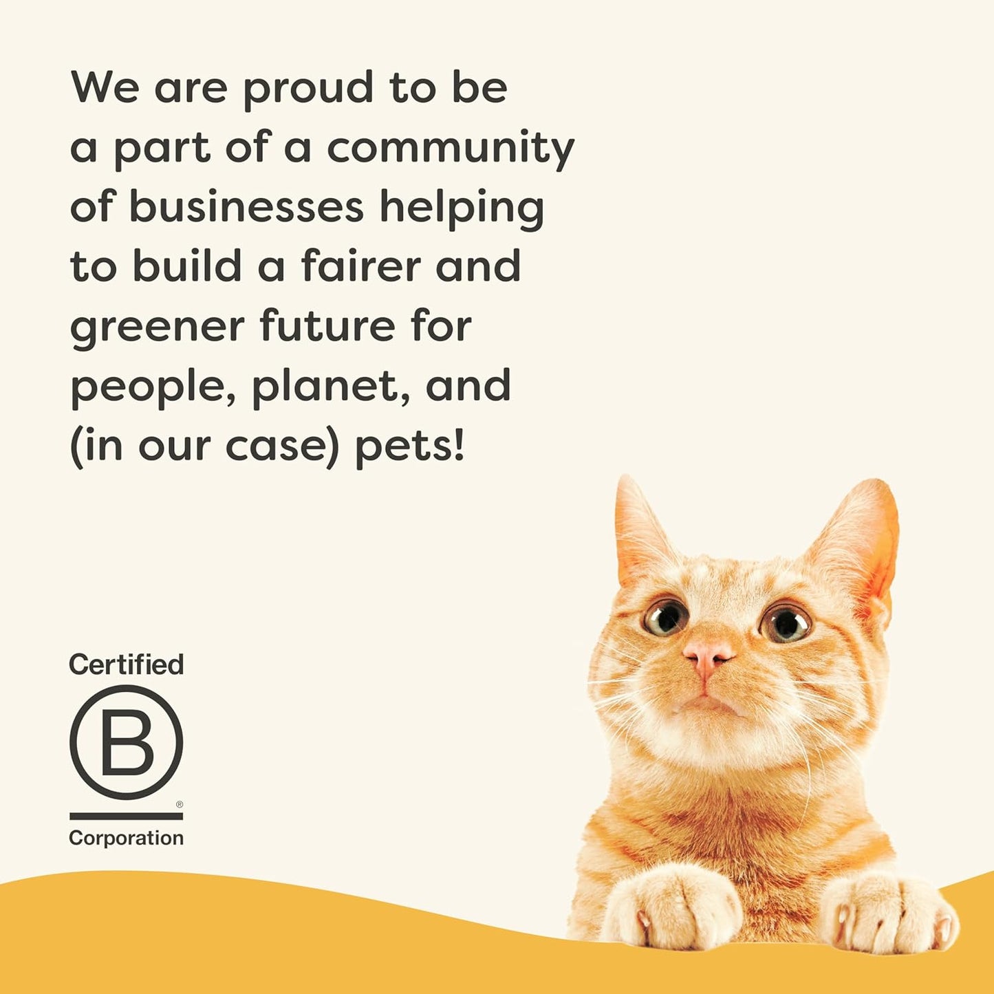 Applaws Vitality Wet Cat Food in Broth, Natural Canned Cat Food, Wet Food for Cats with Added Vitamins and Minerals, Grain Free, Carrageenan Free, Chicken Breast in Broth (24 Count, 2.47 oz Cans)