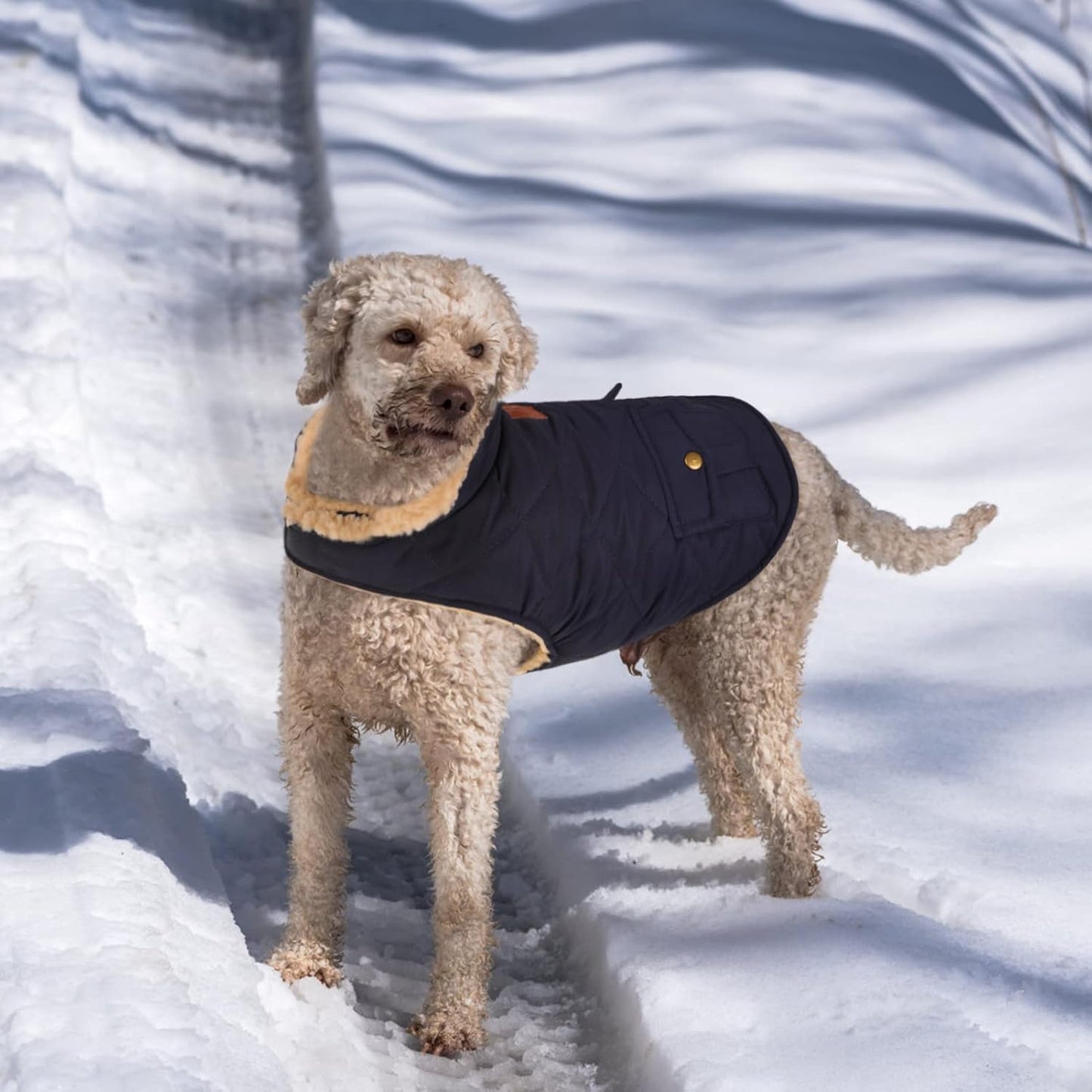 Queenmore Warm Puffer Dog Jacket, Quilting Winter Coat Ultra Thick Plush Lining with Storage Pockets (Dark Navy, X-Small)