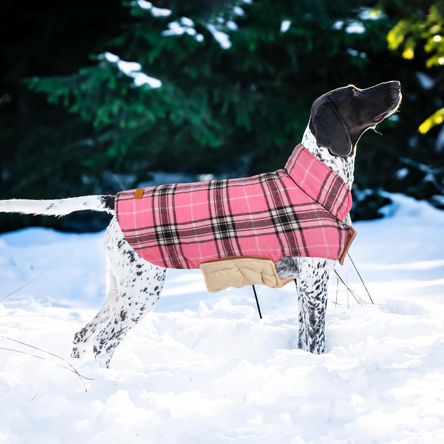 Kuoser Waterproof Dog Coat, Reversible Dog Jacket for Large Dogs, Adjustable Durable Doggie Winter Coat for Groowing Puppies Warm Puppy Cold Weather Apparel, Pink L