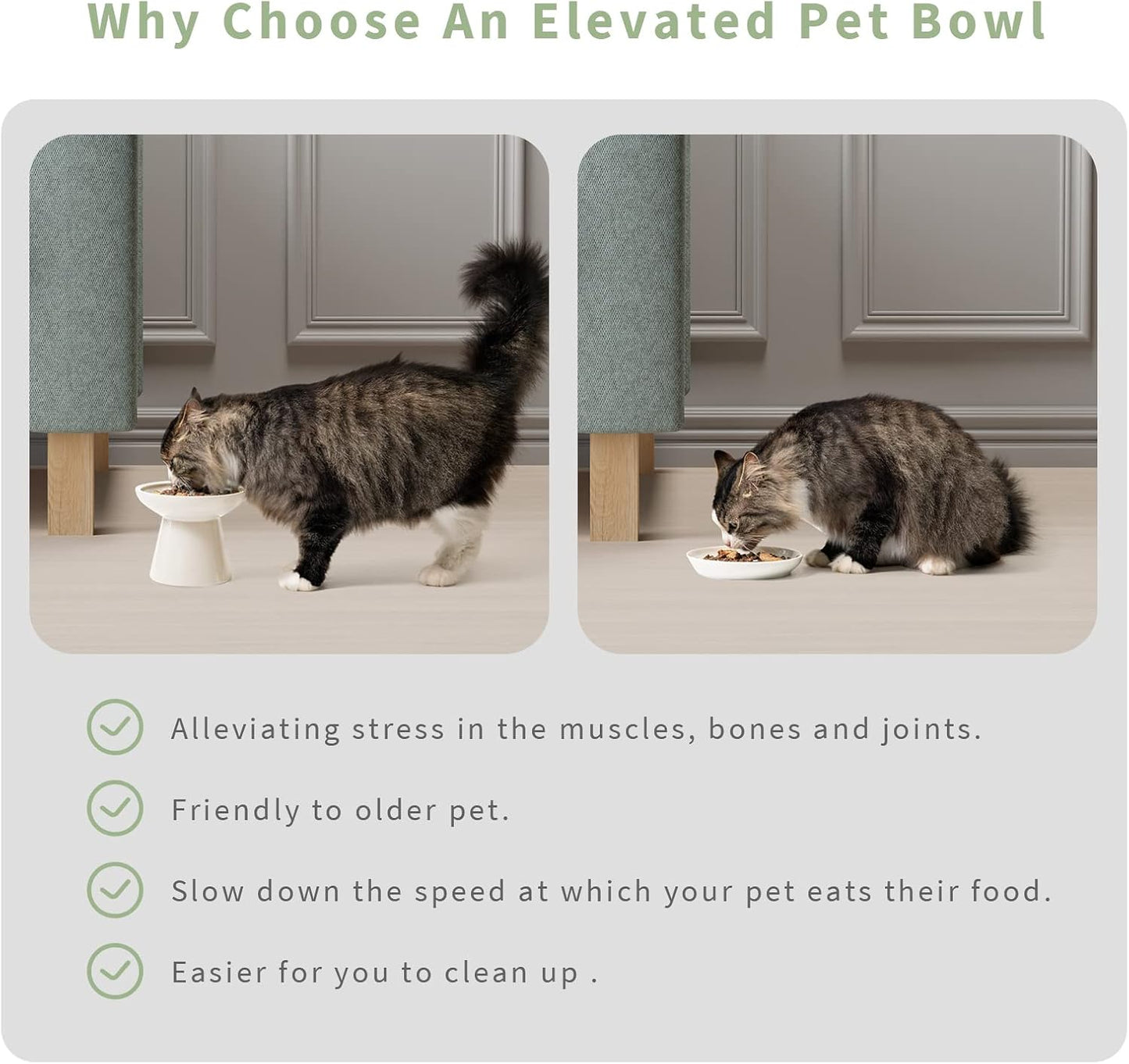 Extra Wide Elevated Ceramic Cat Bowl, 6.2" Shallow Dish for Whisker Fatigue Relief, 5" Height for Easy Feeding, Durable Raised Cat Food Bowls, Pack of 2, White