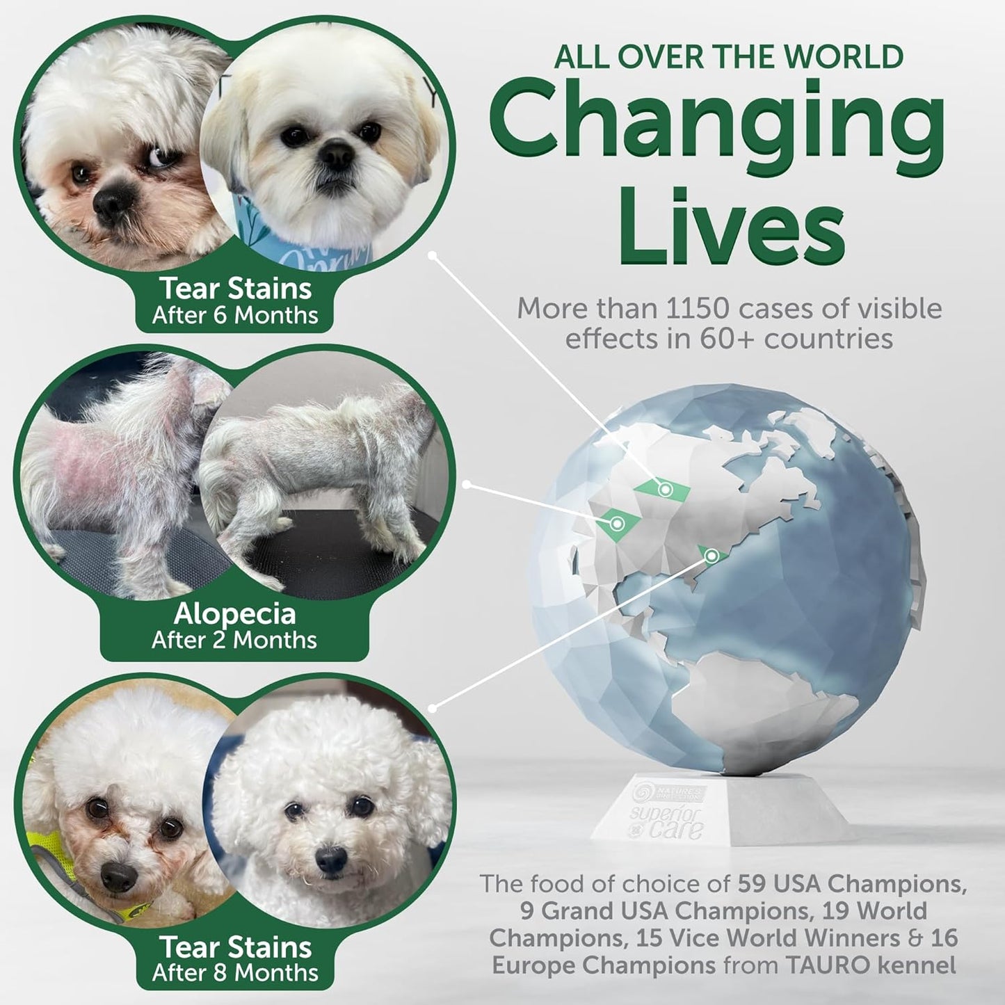 Nature's Protection Grain Free Dry Dog Food for Small Breed - High Protein, Tear Stain Diet for Adult Dogs with Light Fur, Small Bites Kibble (Superior Care - Lamb, 22 lb)