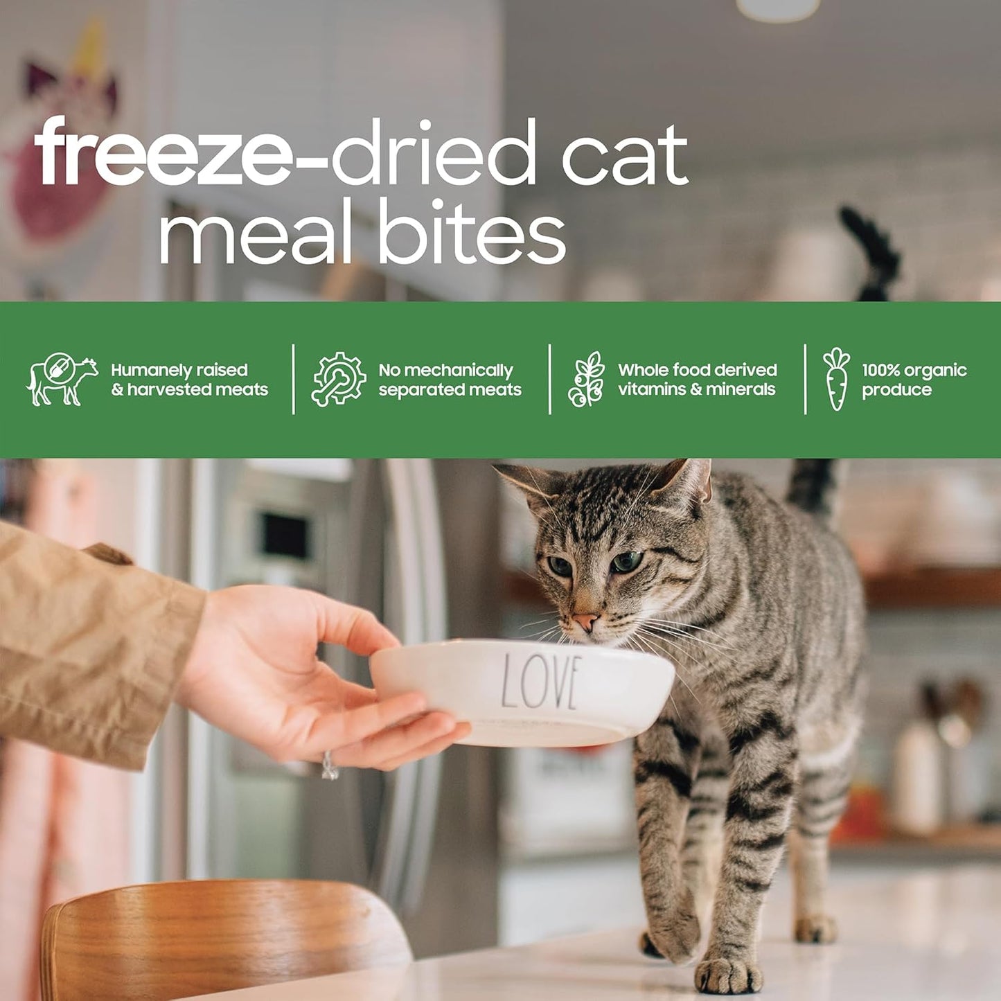 smallbatch Pets Freeze Dried Cat Treats, Raw Dry Cat Food Bites, Beef Recipe, High Protein Food Topper or Training Treats for Cats, Humanely Sourced Meat, Made in The USA, Non GMO, 10 oz Bag