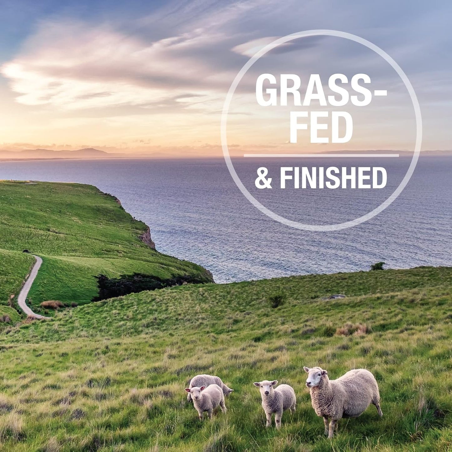 K9 Natural - Grain Free Freeze Dried Dog Food - Chicken, 4lb