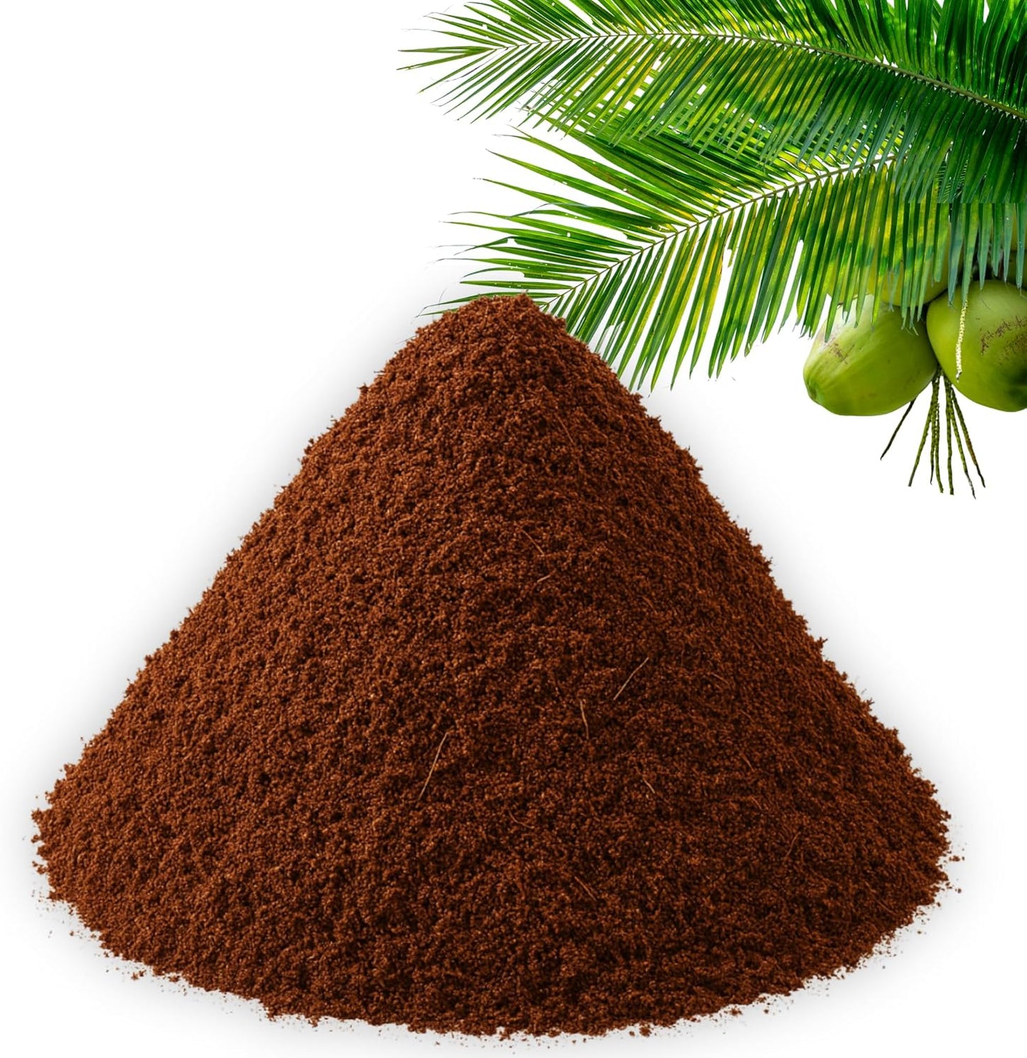 Coco Coir Professional Plus β Organic Coconut Coir Fiber for Plants - Coco Peat (3 quarts)