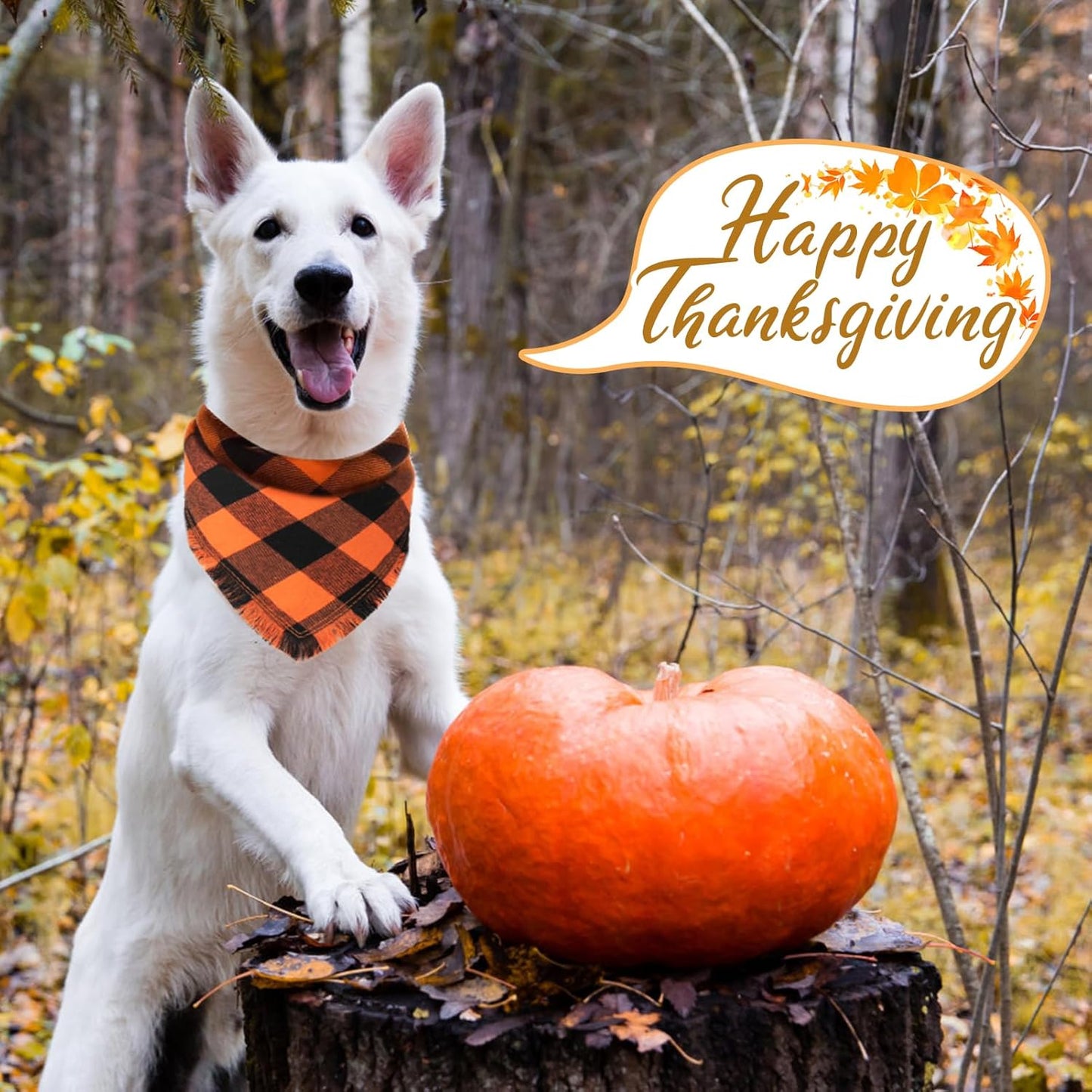 Kytely Fall Dog Bandana, 2Pack Halloween Dog Bandanas, Thanksgiving Classic Plaid Pet Scarf with Tassels Edges for Boy and Girl, Pet Apparel & Accessories Costume for Medium Large Dogs