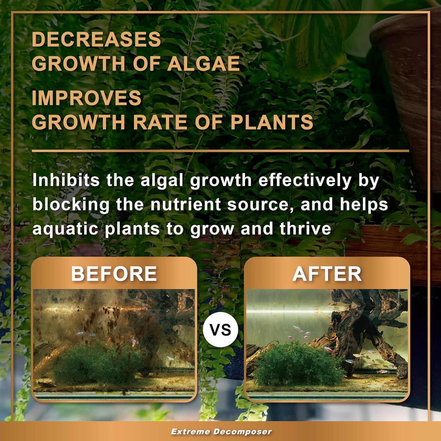 AZOOPLUS BIO XD Extreme Decomposer Nitrifying Bacteria for Freshwater and Saltwater Fish Tank 33.8 Ounces