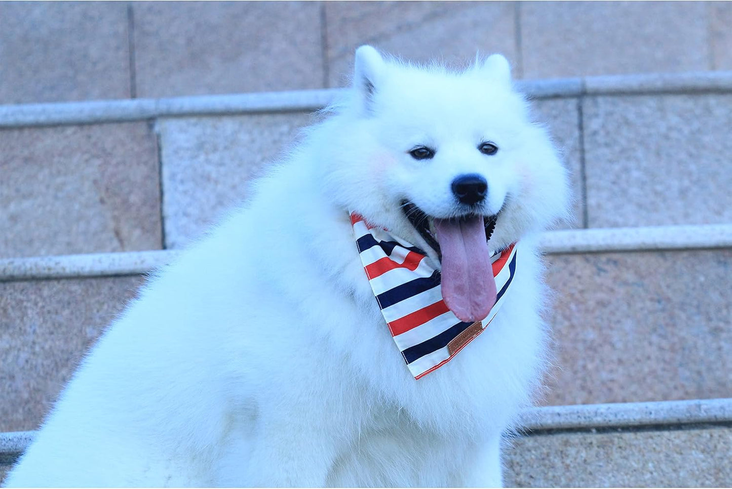 Realeaf 4th of July Dog Bandanas 2 Pack, Reversible American Flag Pet Scarf for Boy and Girl, Premium Durable Fabric, Patriotic Bandana for Small and Medium Dogs (Small)