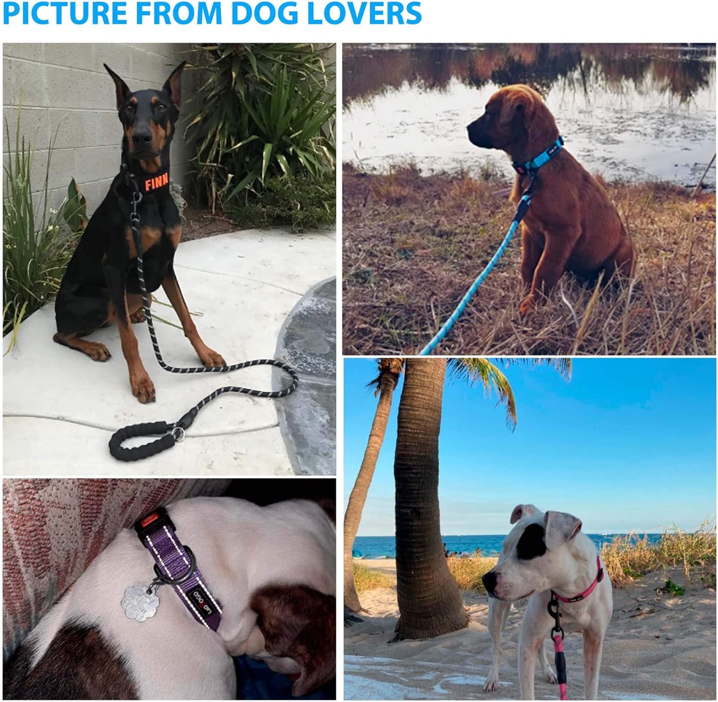 Heavy Duty Dog Leash - Comfortable Padded Handle, 5 ft Long - Dog Leashes for Small Medium Large Dogs (Leash+Collar M Neck 16"-20", Pink)