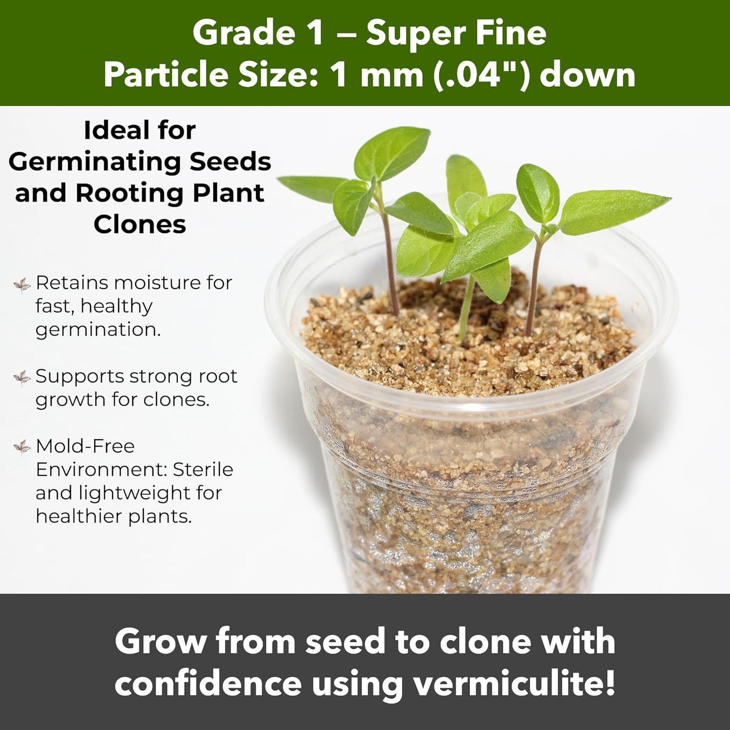Organic Superfine Vermiculite for Indoor Gardening Plants and Mushrooms – Enhances Soil Aeration, Seed Germination, Rooting Cuttings – Small Packages and Bulk (Vermiculite Grade 1 - Superfine, 1 qt)