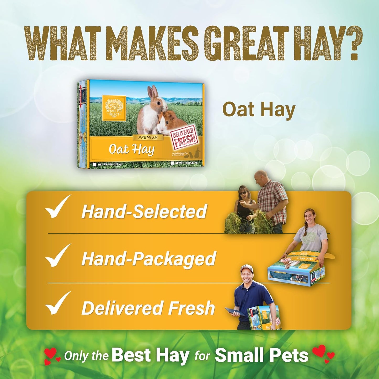 Small Pet Select Oat Hay Pet Food, 10 Lb.