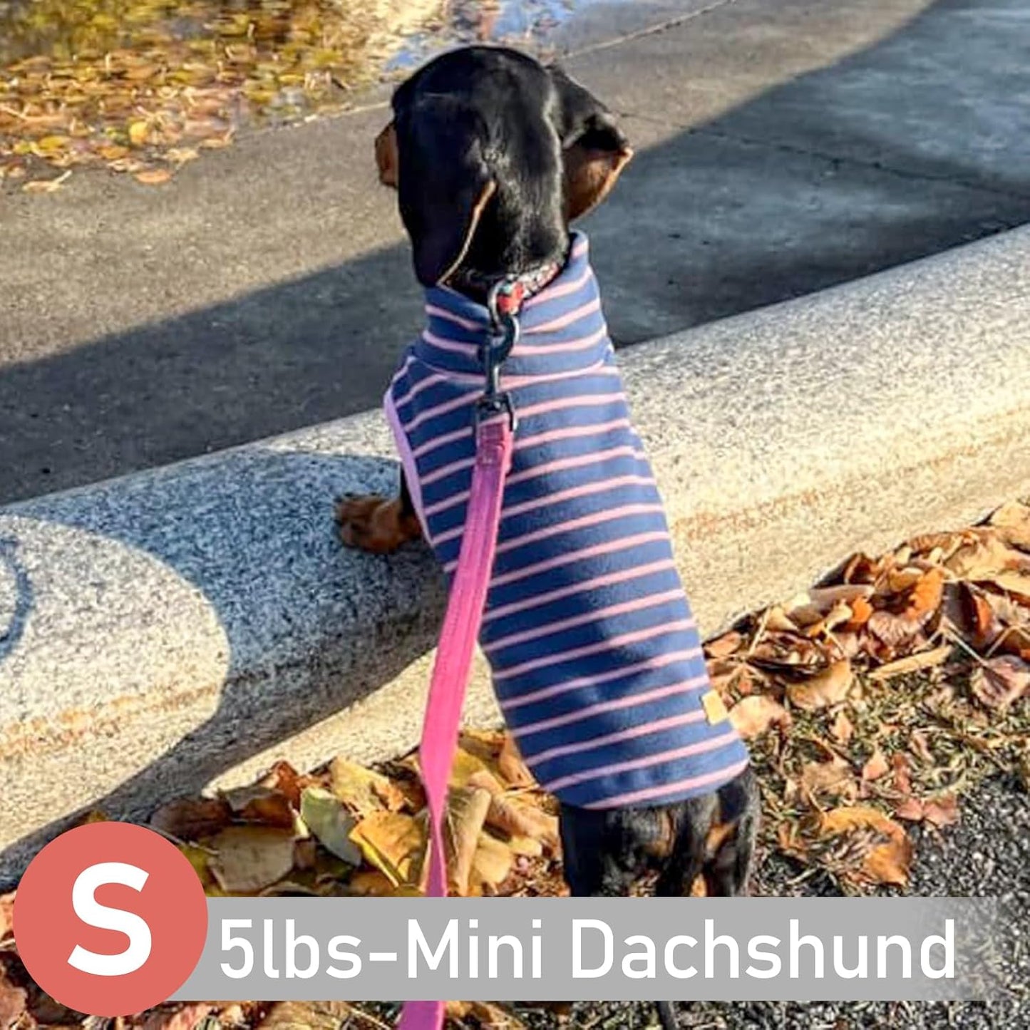 KYEESE 2Pack Dog Sweater Pet Coat Turtleneck Stretchy Dogs Clothes Super Soft Dog Sweaters for Small Dogs Girl Puppy in Sleeveless Design Pet Fleece Vest, Purple,S