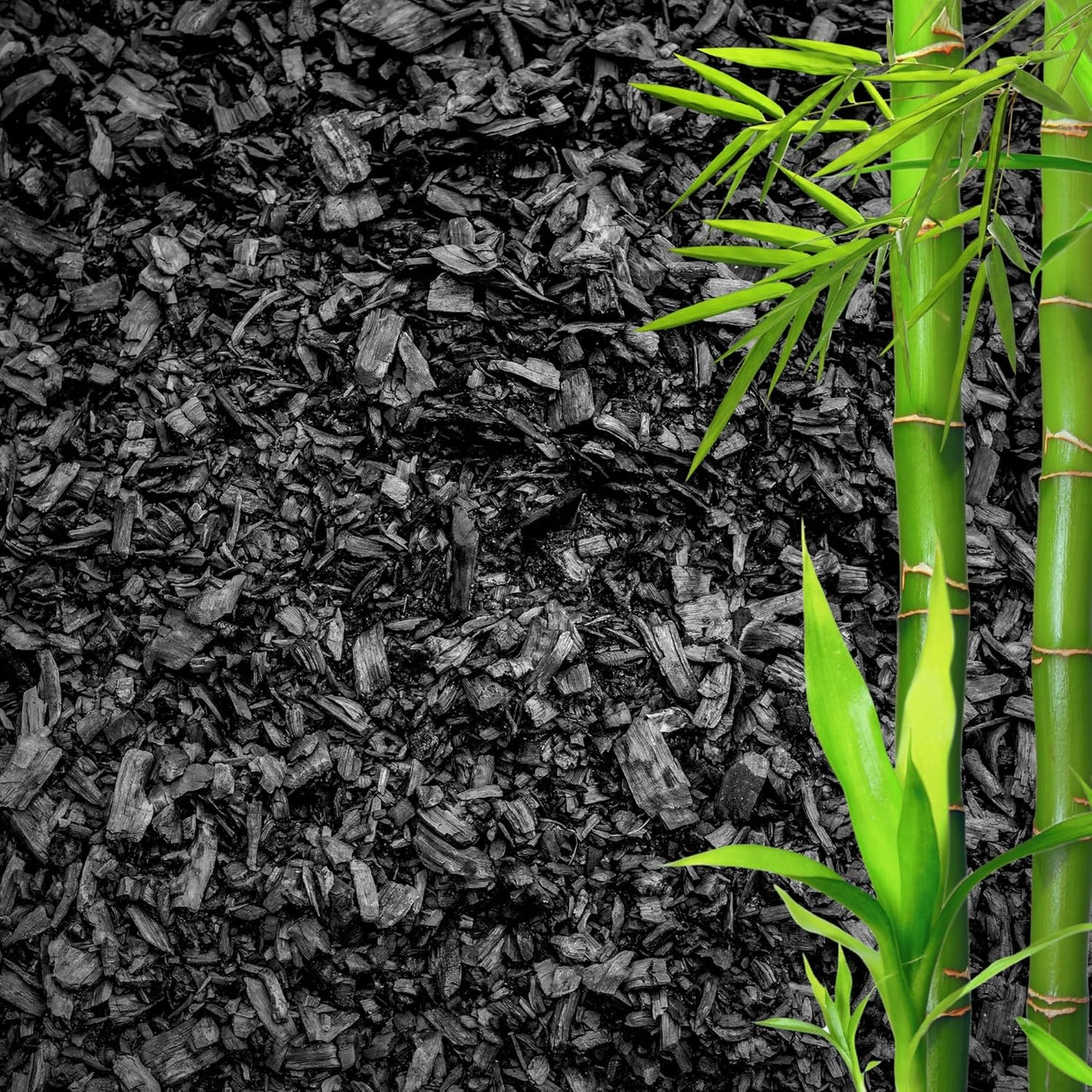 Horticultural Charcoal for Plants ā Organic Bio Char Soil Amendment for Terrariums, Indoor Plants & Gardening, Made in USA (3 quarts)