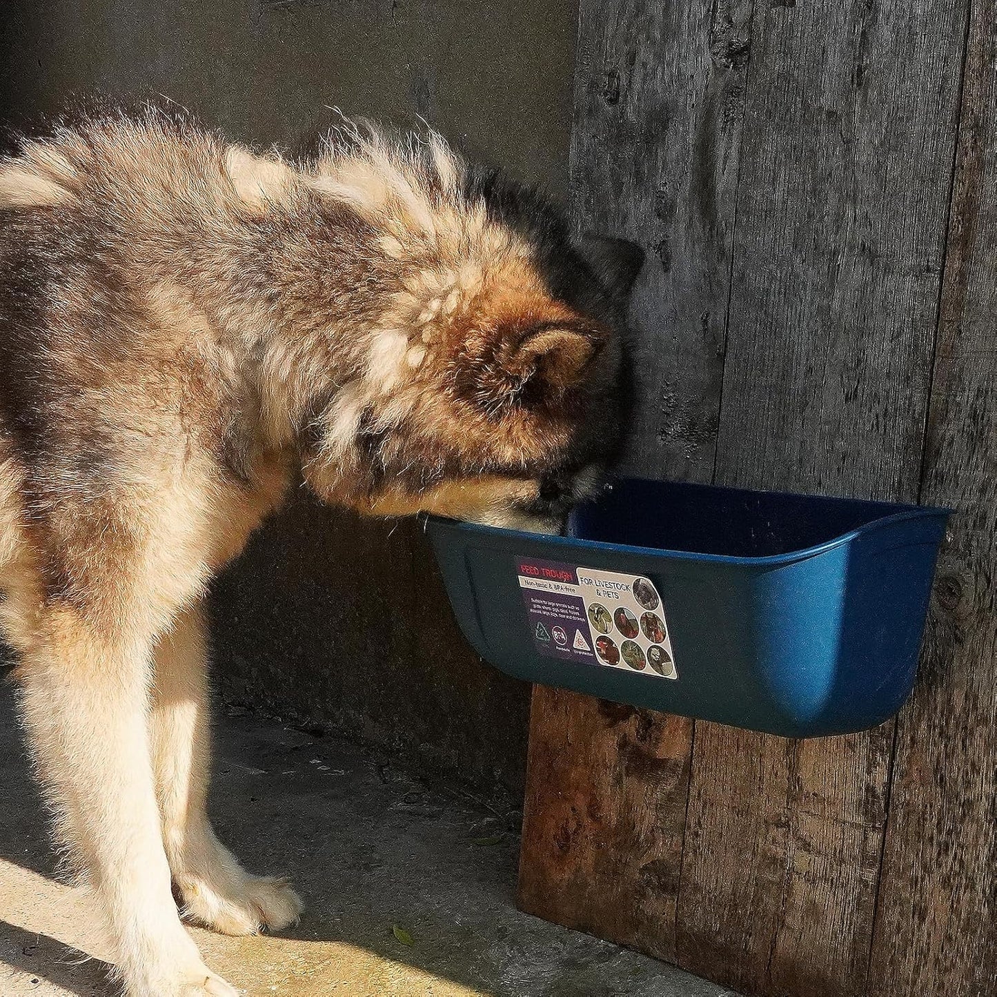 Goovilla Large Feed Trough, Hanging or Screw-in Fence Feeder with Clips, 2 Pack 9 Quart Goat Feeder Supplies, Dog Horse Hog Pig Livestock Poultry Plastic Feeder Trough Bucket for Large Animal, Blue