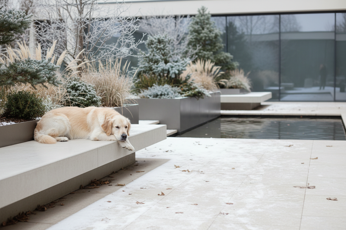 Winter Wellness for Pets - Cosmic Paws