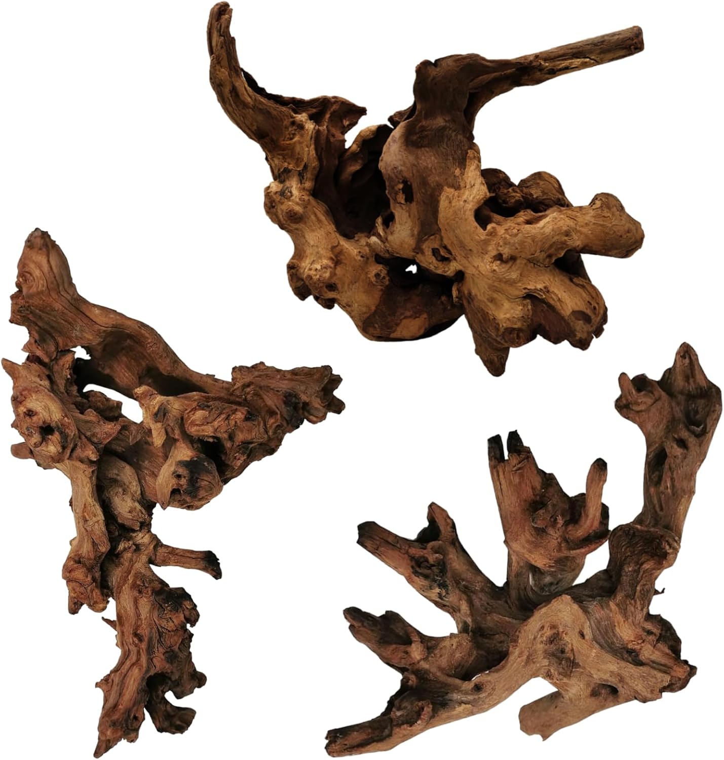 Aquarium Accessories