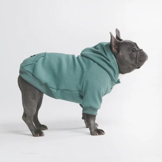 Spark Paws Dog Hoodie – Premium Dog Sweater for Small, Medium, and Large Dogs | Warm Outfits for French Bulldogs, Pitbull, Puppy, Winter Jacket Alternative - Teal - XL
