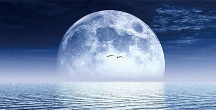 Moon Aquarium Background,Cool Sea Galaxy Parallel Space Themed Fish Tank Background, Cool Terrarium Background 36X24IN with 8 EVA Double-Sided Tape