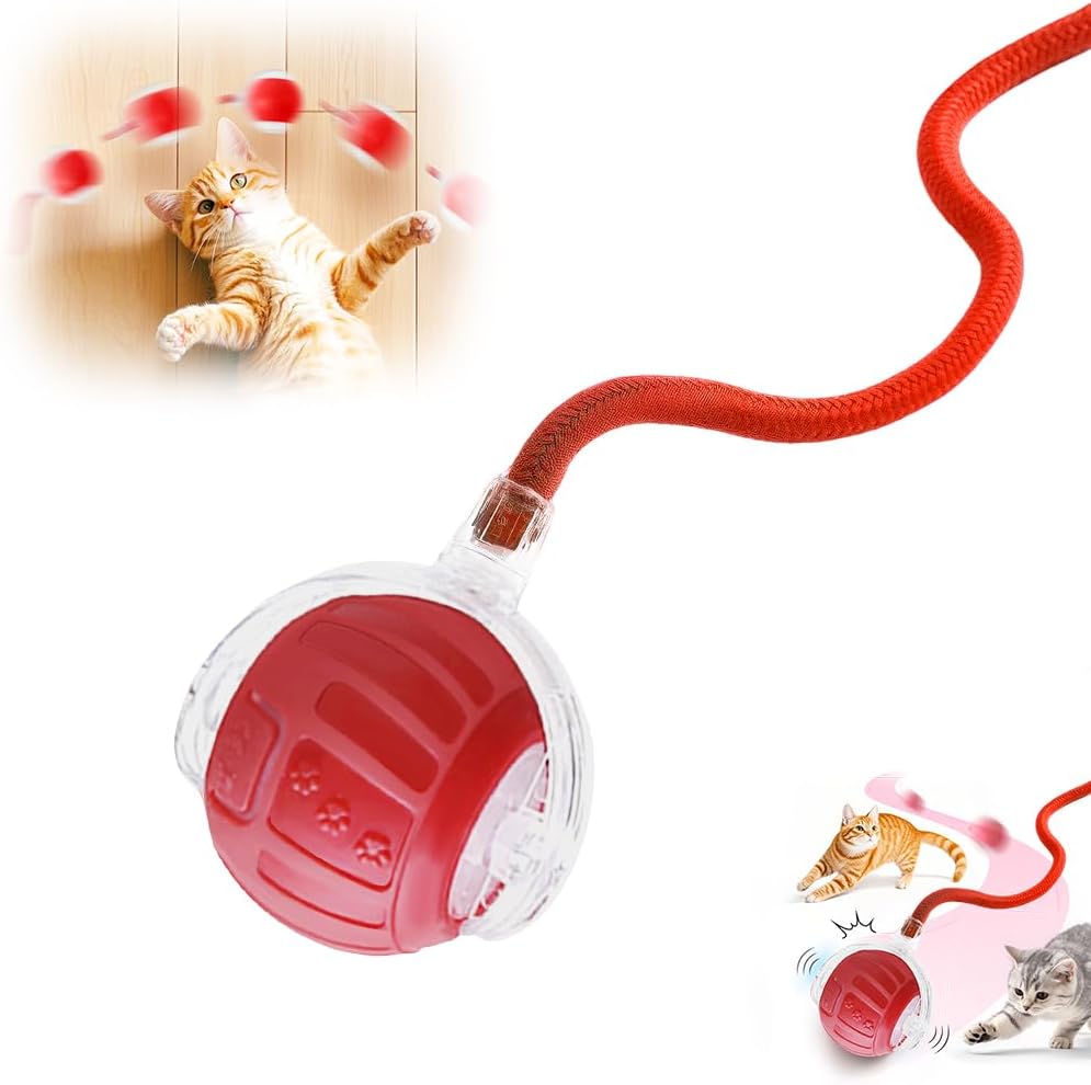 2026 New Interactive Pet Toy Ball, Smart Interactive Toy Ball for Cats & Dogs, Electric Rolling Pet Toy Ball, Rechargeable Interactive Cat Toys for Bored Indoor Cats Kittens to Keep Busy (Red)