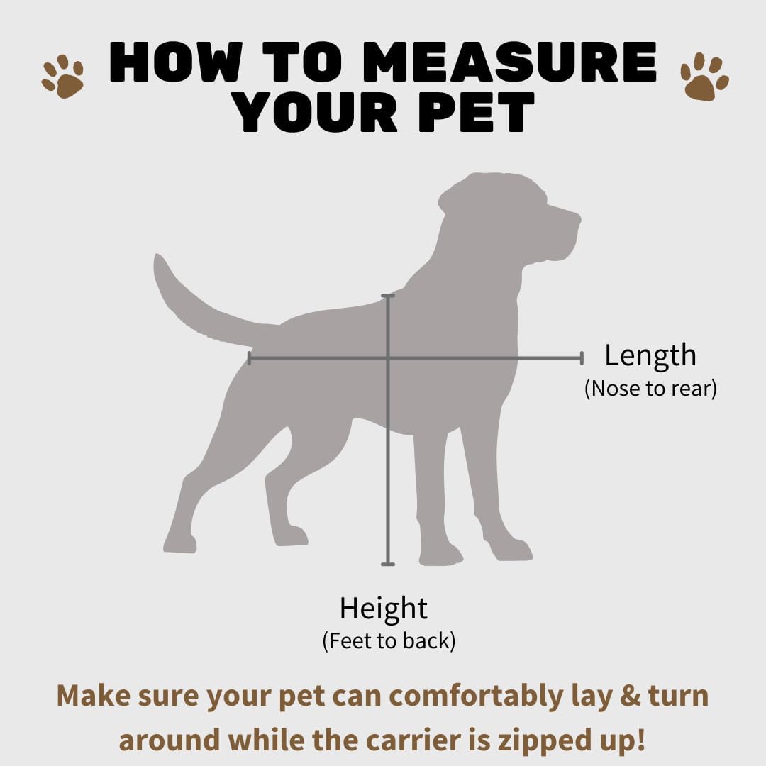 SturdiBag Pro 2.0 Pet Travel Carrier for Cats and Dogs | Soft Sided Pet Carrier Bag with Safety Clips and Seatbelt Straps for Airplane or Car Travel | Cube, Red