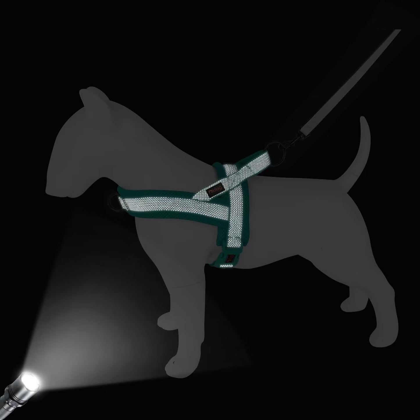 Didog No Pull Dog Harness with Breathable Mesh Padded, Full Reflective & Quick Fit Adjustable Vest Harness, Easy for Training Walking for Small & Medium and Large Dogs (Green, M:Chest 21-26")