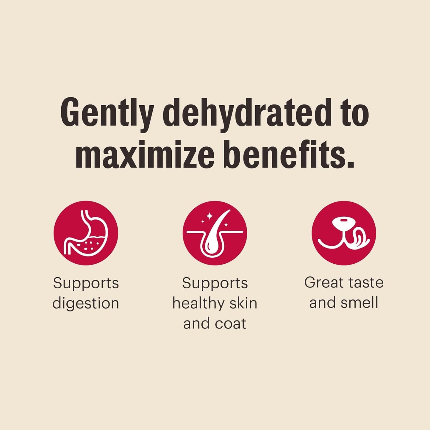 The Honest Kitchen Wholemade™ Grain Free Chicken Dog Food, 1.5 oz x10