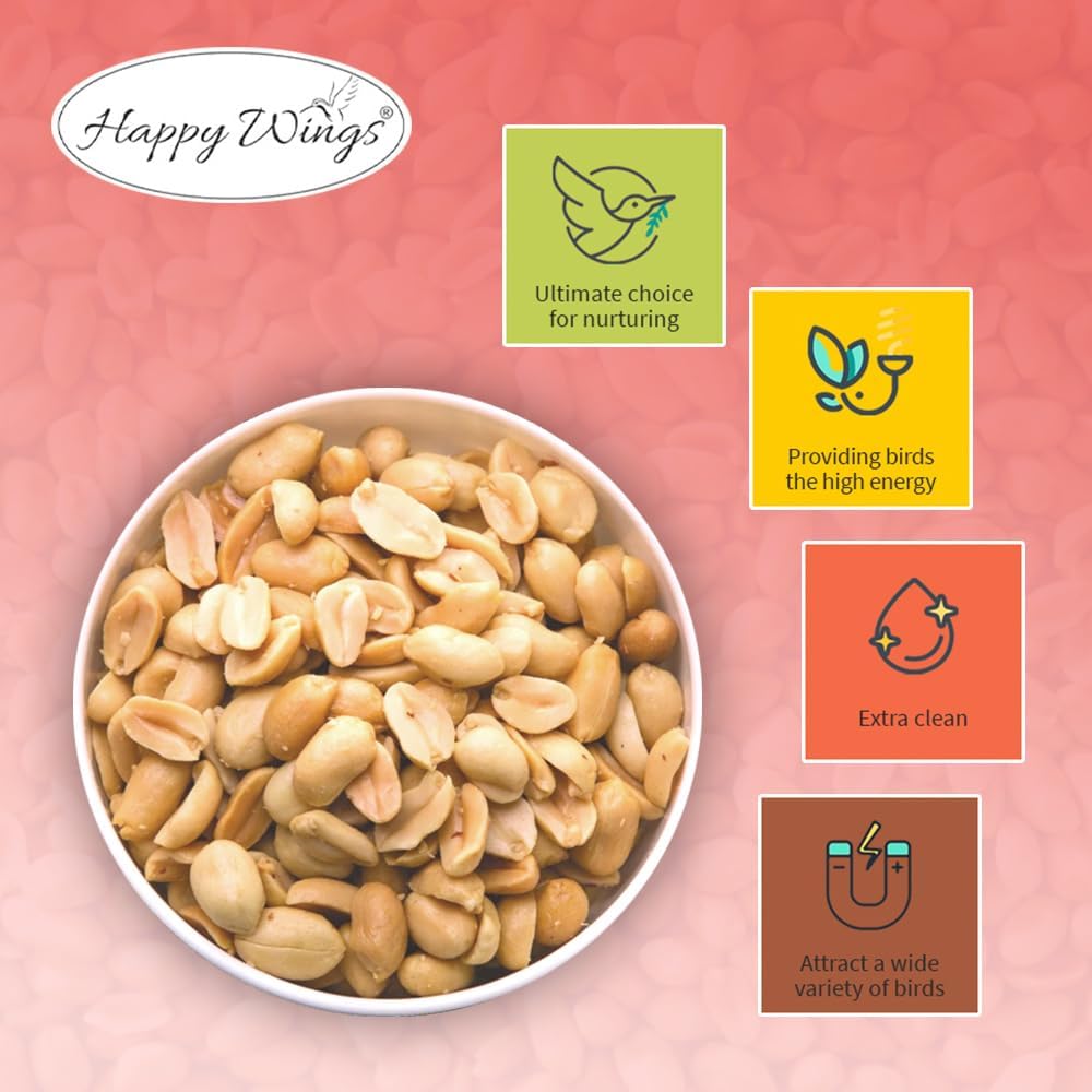 Shelled Peanuts Seeds Combo Wild Bird Food - 10 Pounds- 5 Pounds Combo Pack of 2 I No Grow Seed I Bird Food for Wild Birds