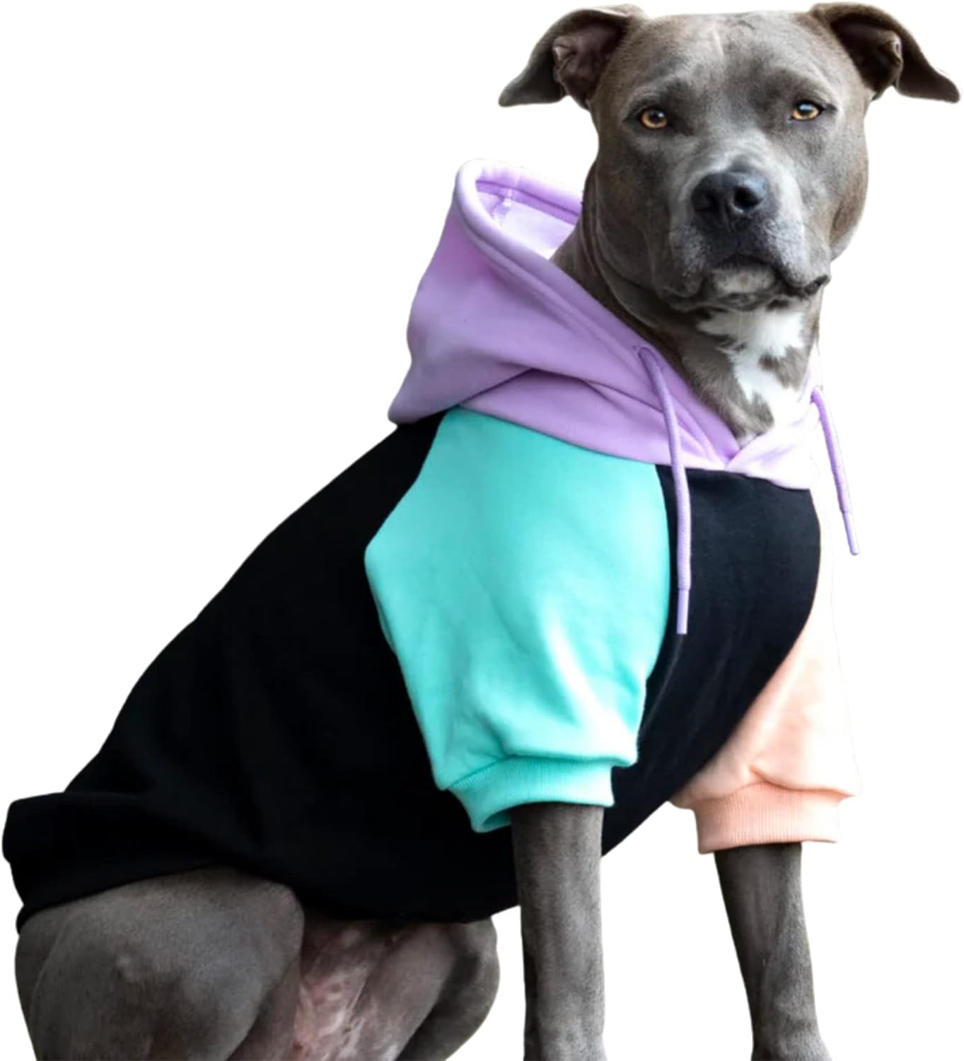 Spark Paws Dog Hoodie – Premium Dog Sweater for Small, Medium, and Large Dogs | Warm Outfits for French Bulldogs, Pitbull, Puppy, Winter Jacket Alternative - Cyber Punk - 4XL