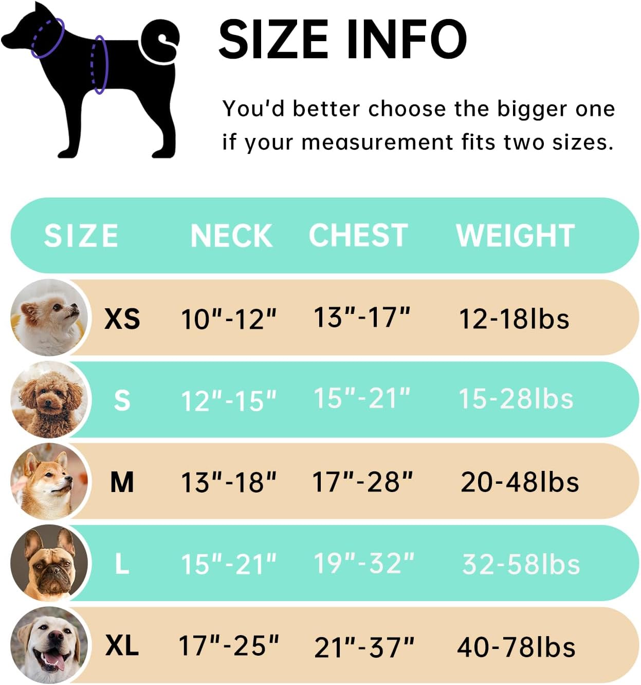 IVY&LANE No Pull Dog Harness with Leash Set, Reflective No Choke Pet Vest,Adjustable Oxford Dog Vest Harness with Easy Control Handle for Small Dogs (Turquoise,S)