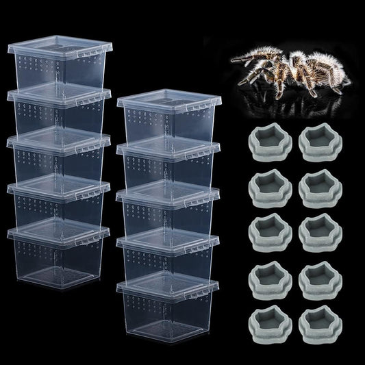 10 Pack Small Size Spider Terrariums Breeding Box Hatching Container Insect Scorpion Centipede Acrylic Breeding Box (with 10 Pcs Micro Water Bowl