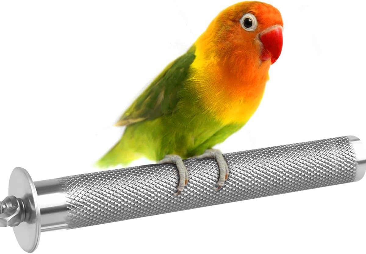 KATUMO Conure Perch - Stainless Steel Bird Stand Rough-surfaced Branch for Small Birds (6 x 0.7 inch)