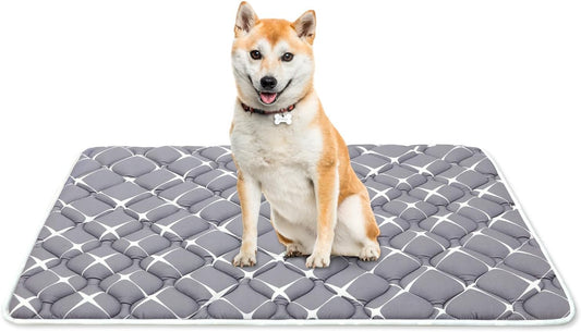 Bubble bear Dog Crate Mat - Ultra Soft, Washable & Anti-Slip Kennel Pad for Small/Medium/Large Dogs, Dark-Hued to Hide Stains (30"x19")