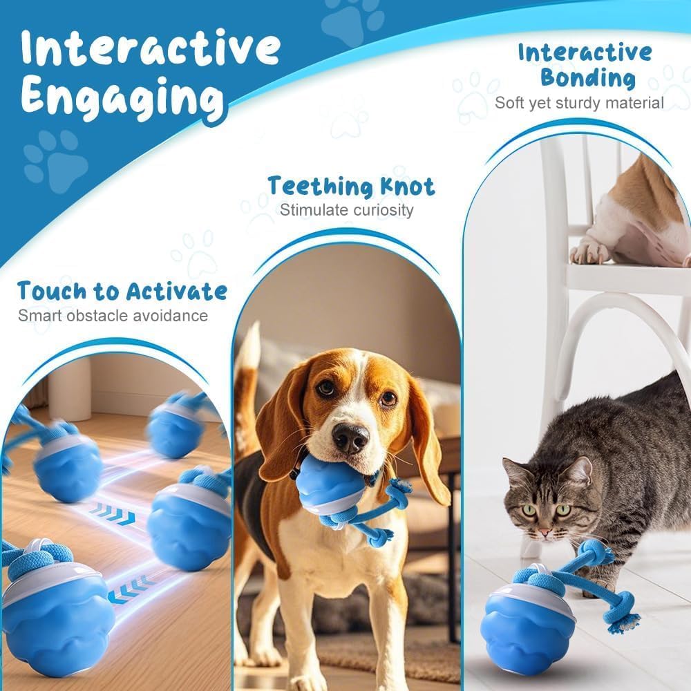 2026 New Interactive Pet Toy Ball, Smart Interactive Toy Ball for Cats & Dogs, Electric Rolling Pet Toy Ball, Rechargeable Interactive Cat Toys for Bored Indoor Cats Kittens to Keep Busy (Blue)