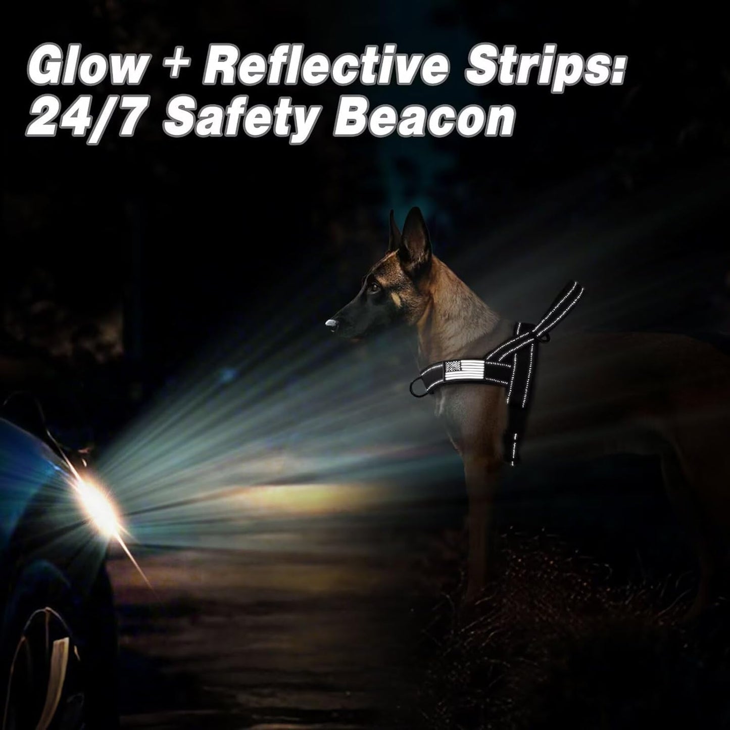 Forestpaw No Pull Dog Harness - Soft Flannel Padded Tactical Dog Vest Harness with Quick Release Buckle, Adjustable Reflective Pet Harness for Medium Dogs Walking Training,Black M