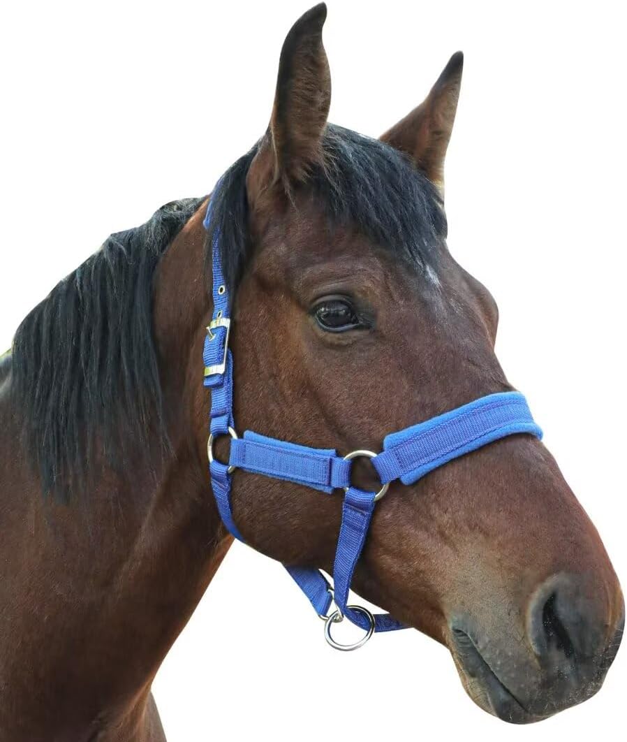 Horse Halter with Wool Lining, Adjustable Halter for Horses Satin Hardware to Prevent Friction, Breakaway Halters for Horses,Perfect for Traction and Performance
