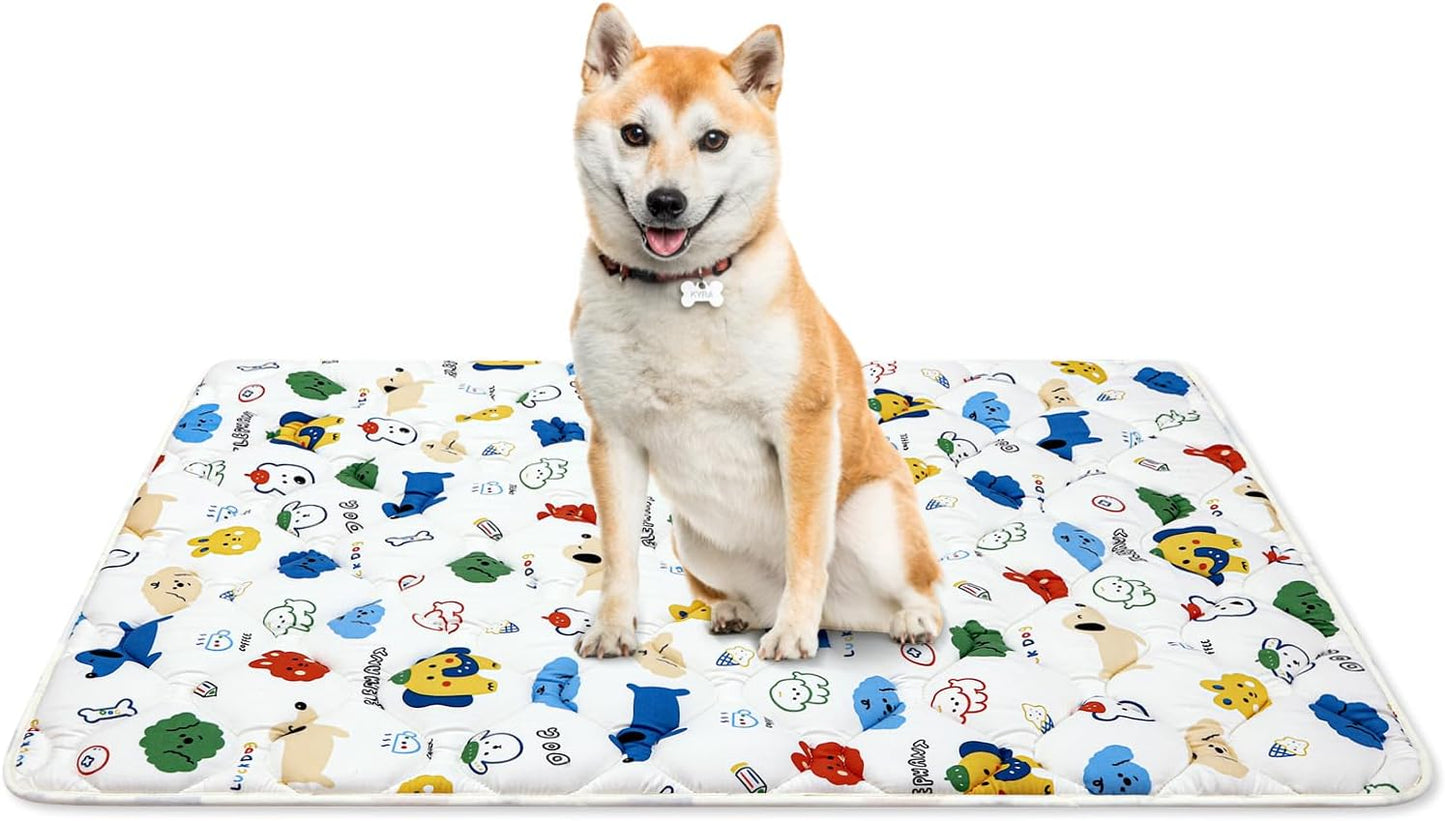 Washable Dog Crate Mat, Ultra Soft Dog Bed Mat for Sleeping with Anti-Slip Bottom for Large Medium Small Dogs Breeds (30" X 19")