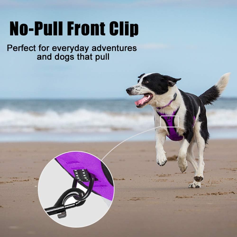 PoyPet No Pull Dog Harness, Reflective Comfortable Vest Harness with Front & Back 2 Leash Attachments and Easy Control Handle Adjustable Soft Padded Pet Vest for Small to Large Dogs (Purple,M)