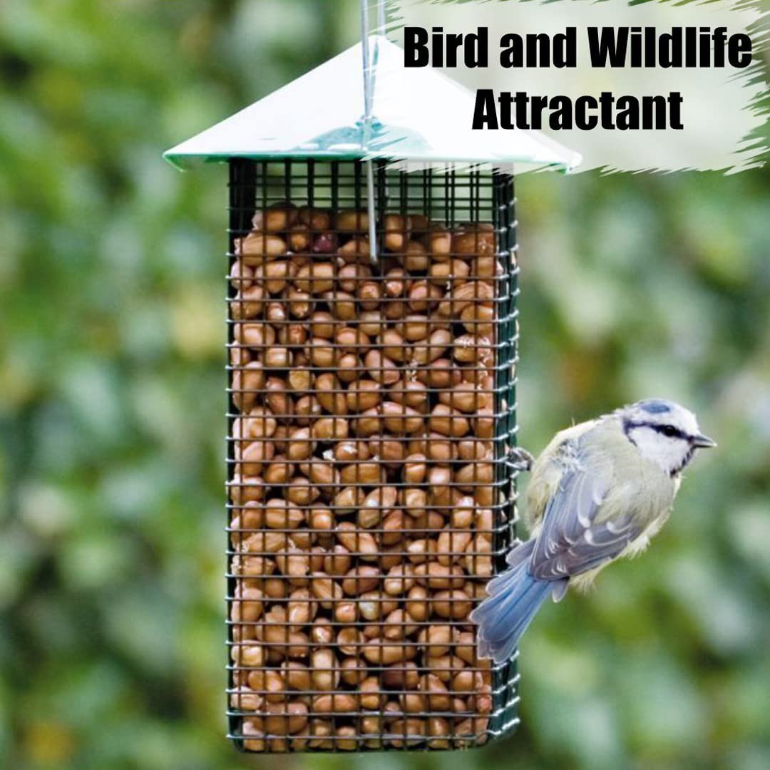 Old Potters Wildlife Shelled Peanuts, 5 lbs for Birds, Squirrels and Wildlife. USA Grown Non-GMO Raw Shelled Peanuts. Wildlife Grade, Not for Human Consumption.