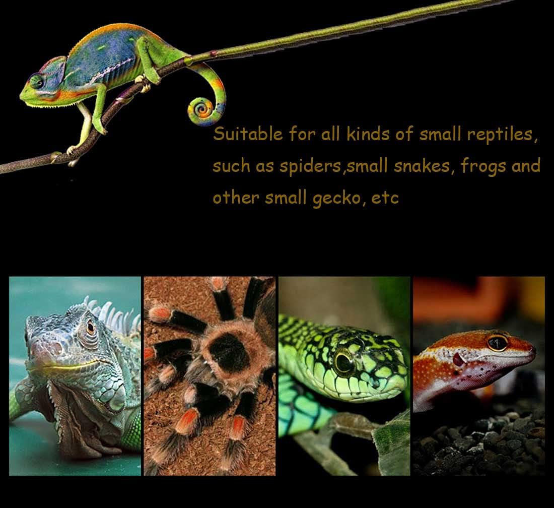 kathson 2PCS Reptile Feeding Box Portable Small Snake Terrarium Habitat Mini Pet Breeding Cage Hatching Container Transparent Gecko Houses for Small Frog Tarantula Spider Scorpion (White)