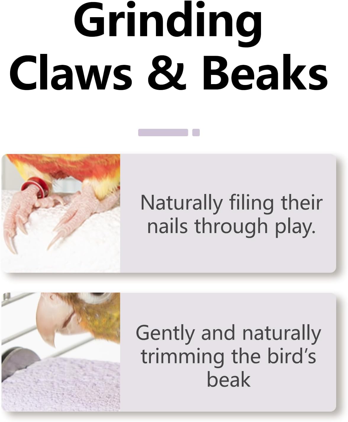 Natural Mineral Bird Perch for Cage Parrot Perch Platform for Beak Grinding Claw Trimming & Chewing Chew Toy for Parakeets Cockatiels Conures Birds Cage Accessories (Gradient Purple, 4.7")