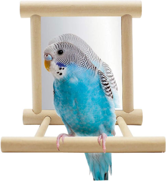 Hypeety Bird Parrot Mirror Toy Swing Hanging with Perch for Parrot Parakeet Budgies Cockatiel Conure Finch Lovebird (D)