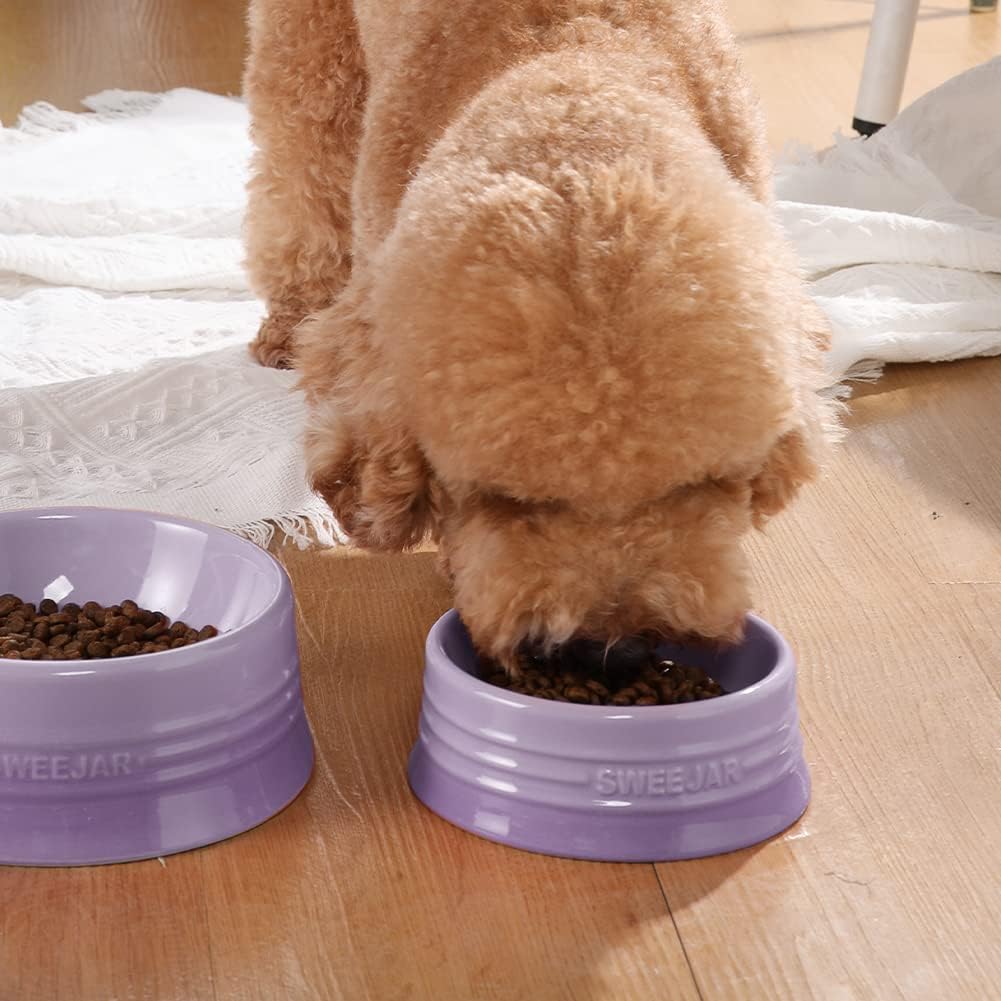 Sweejar Gradient Dog Bowl, Ceramic Dog Food Dish for Medium Dogs and Cat, Porcelain Pet Bowl for Food and Water 18 oz (Gradient Purple)